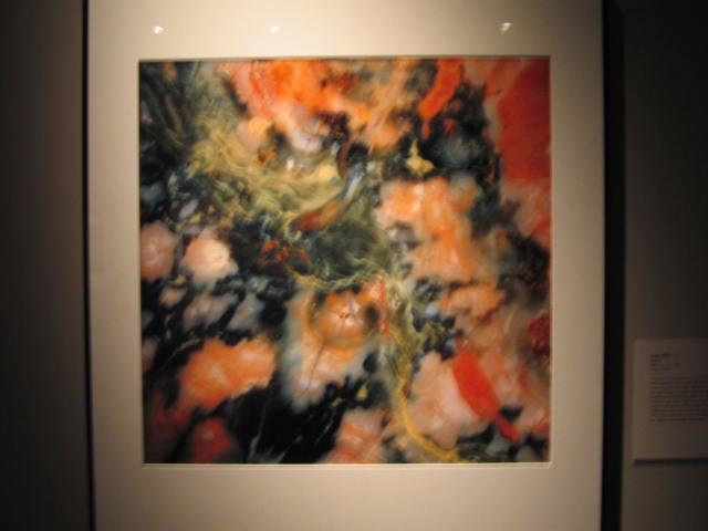 Picture taken at the Smithsonian Picture taken at the Smithsonian